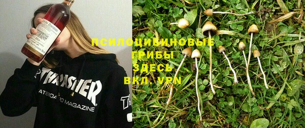 каннабис Вяземский